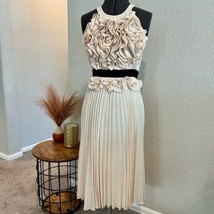 BCBG Max Azria Blush Dress with Black Grosgrain Ribbon Belt